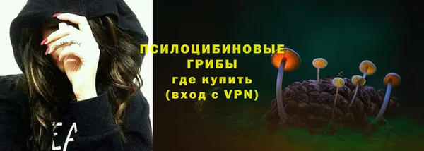 прущий лед Алзамай
