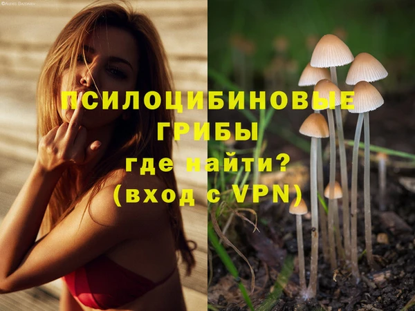 прущий лед Алексеевка